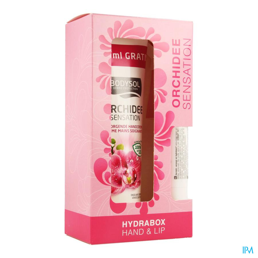 Bodysol Hydrabox Orchid Hand 100ml & Lip 4,8g