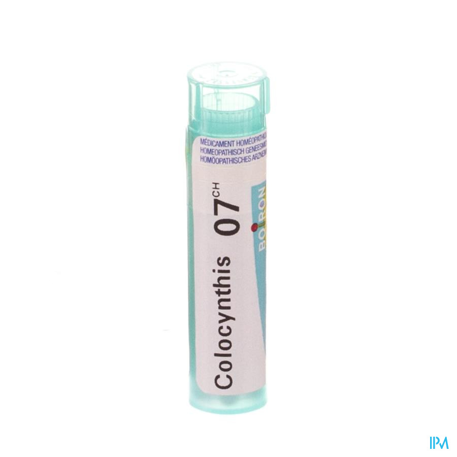 Colocynthis 7ch Gr 4g Boiron