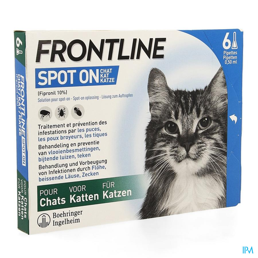 Frontline Spot On Chat 10% Pipet 6x0,50ml